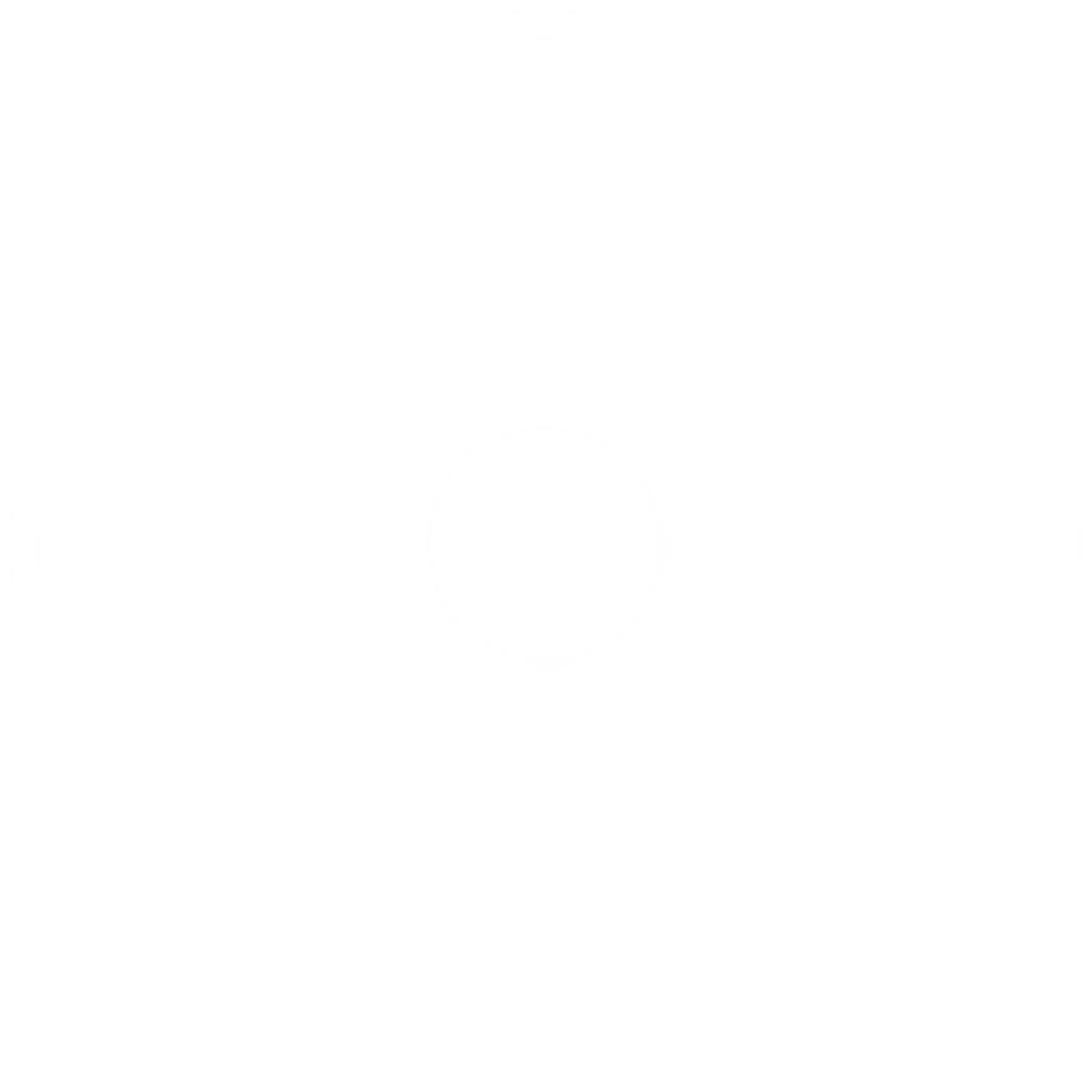 white blur circle gradient